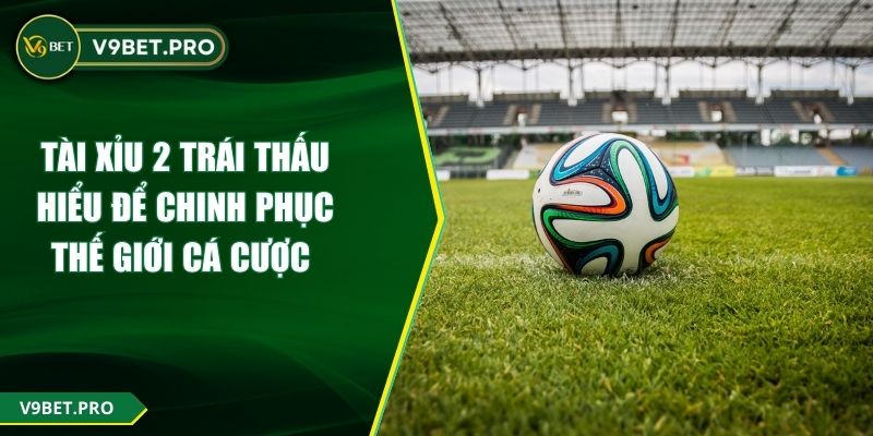 Tài Xỉu 2 Trái Thấu Hiểu Để Chinh Phục Thế Giới Cá Cược